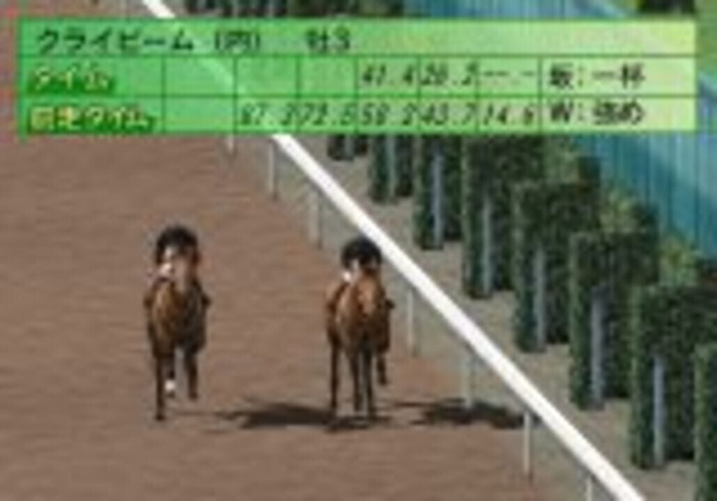 Horse Breaker