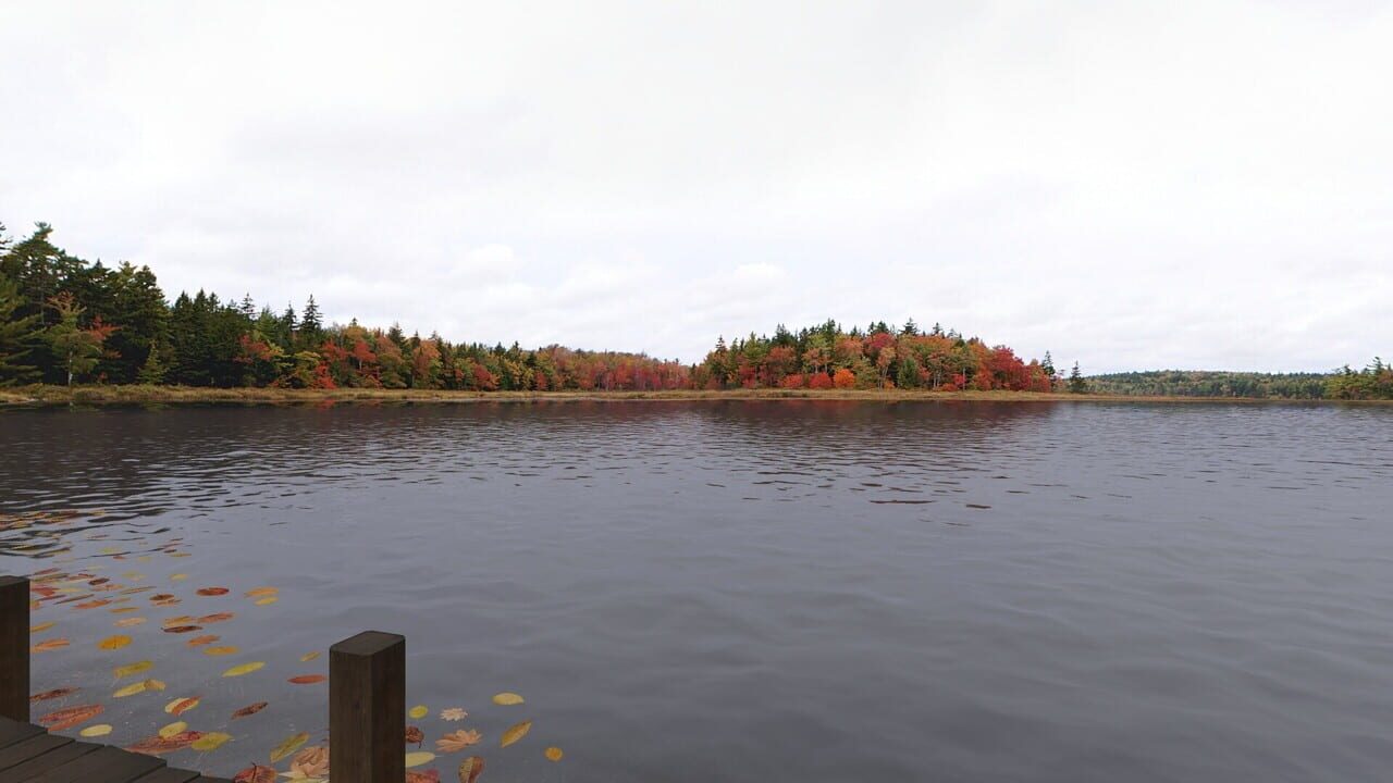Real VR Fishing: Canada DLC