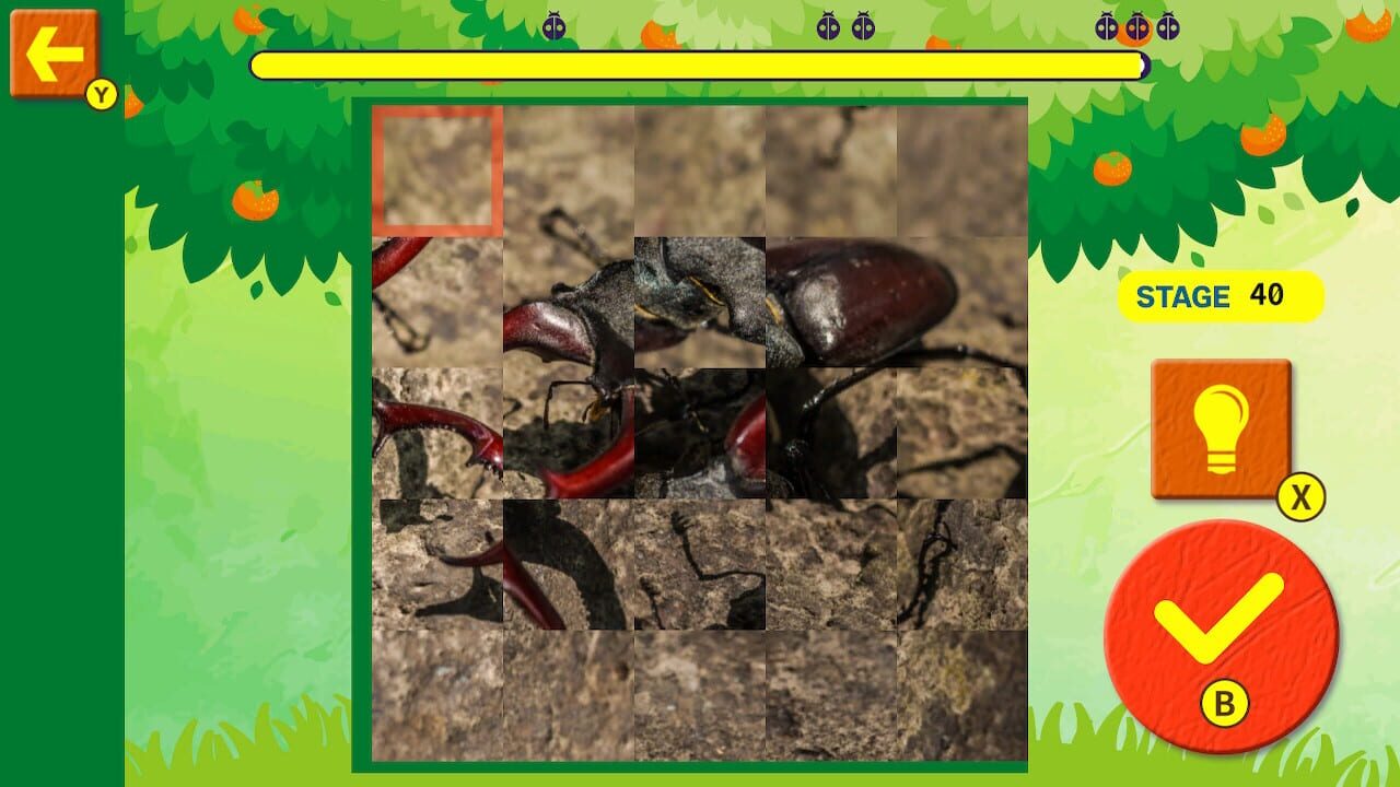 Brain Workout! Spinning Insect Puzzle