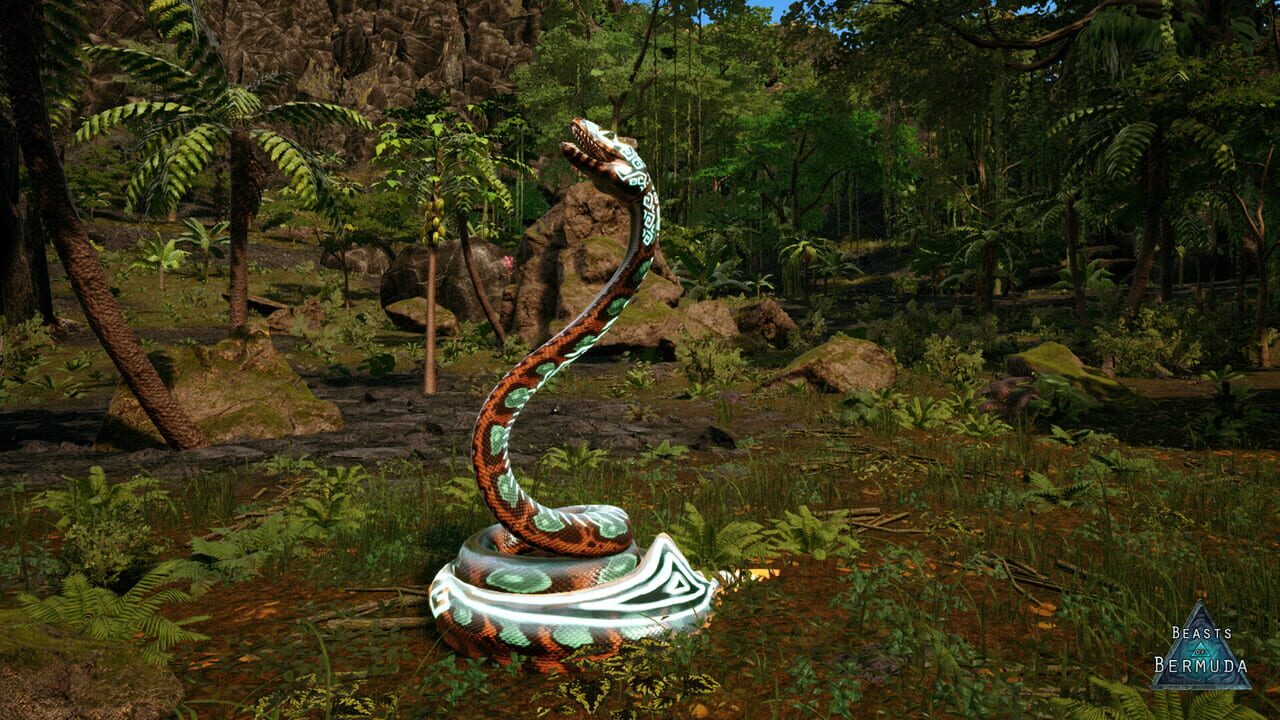 Beasts of Bermuda: Palaeophis Supporter Warpaint