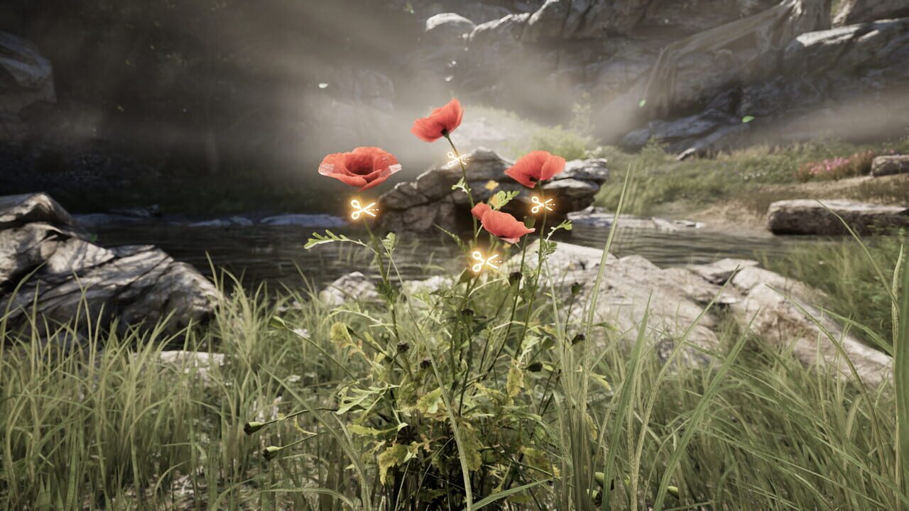 Plague Doctor: Life in Pestilence