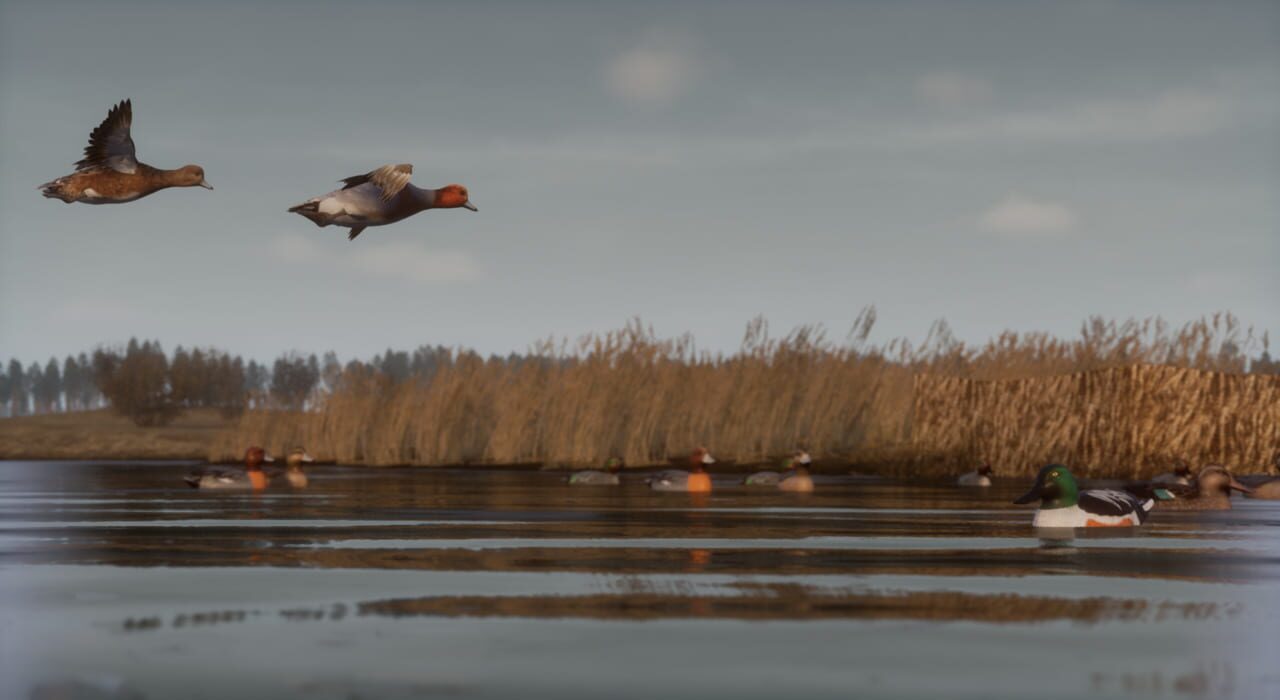 Bult: Hunting Simulator