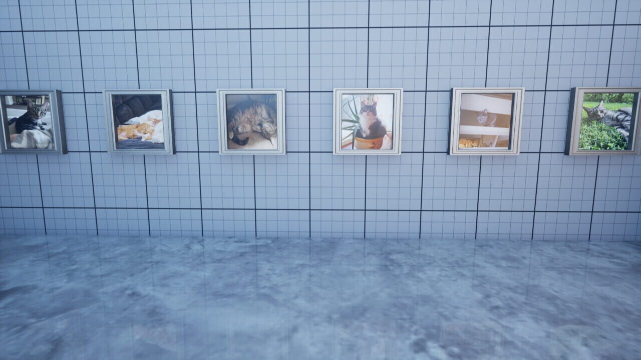 Aim Trainer: With Cats