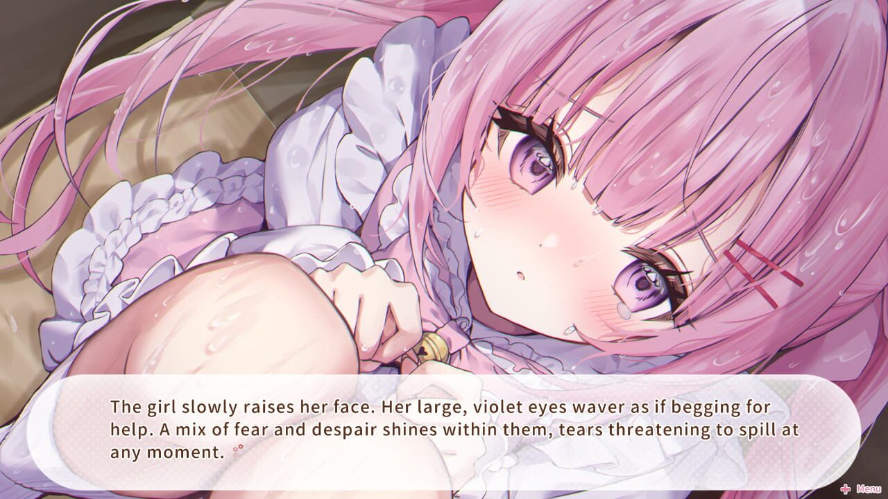 Nekomimi Days: 365 Days With You