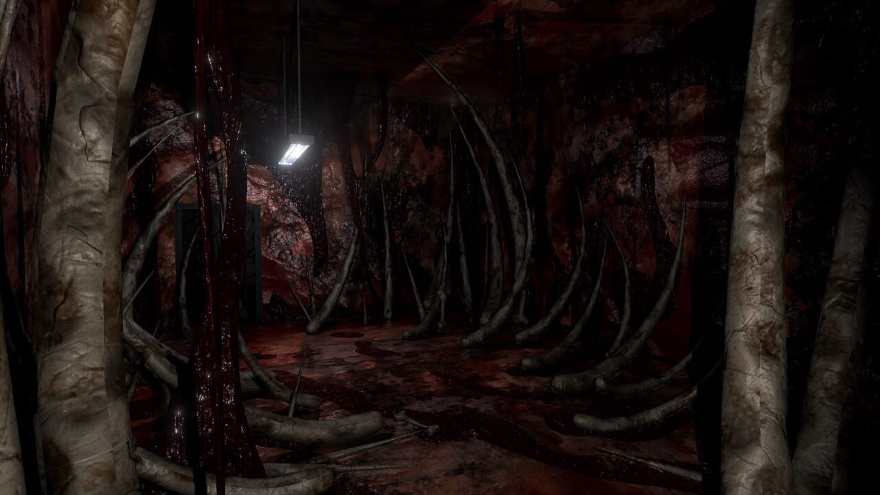 Timore 6: The Cadaver