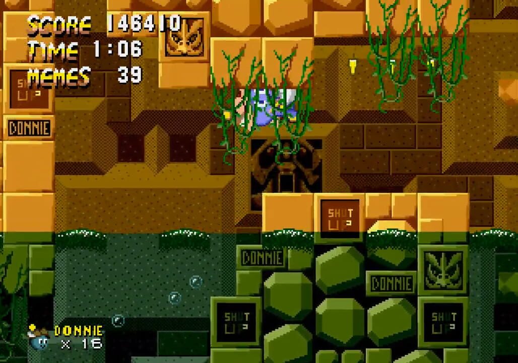 Donnie the Chao Final Mix