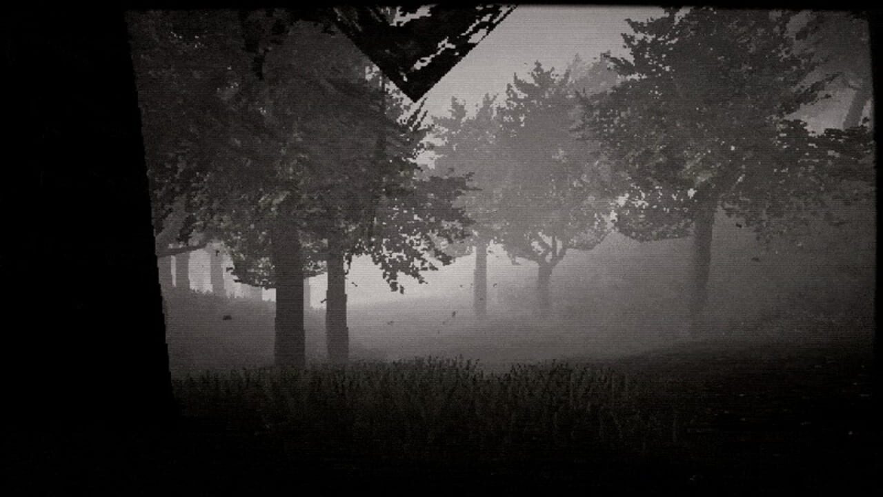 Hachi: Eight Feet Tall