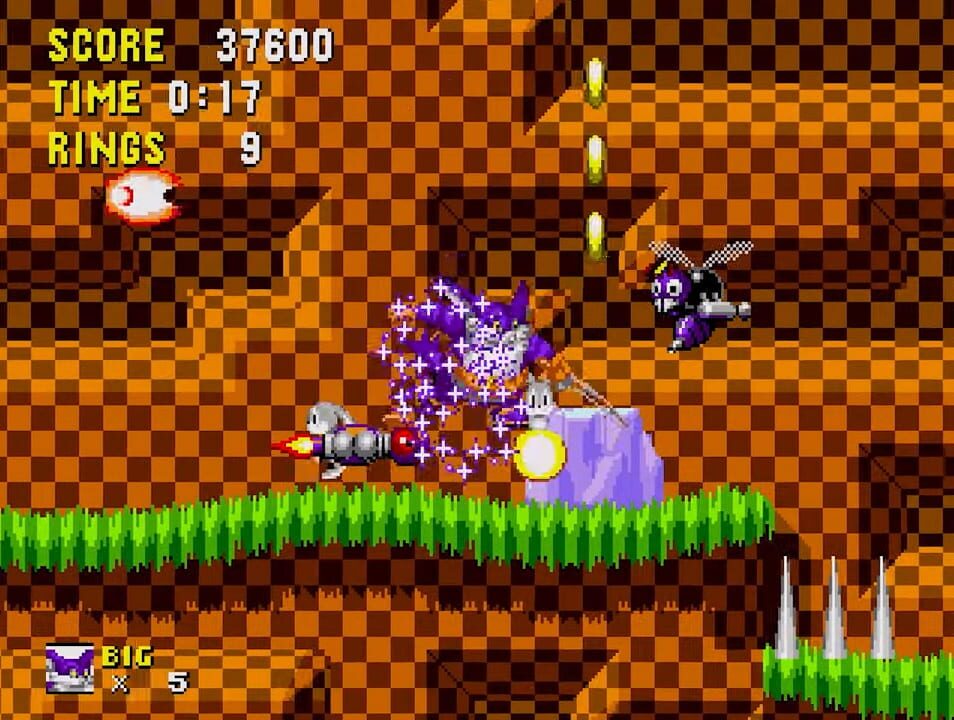 Big the Cat in Sonic the Hedgehog