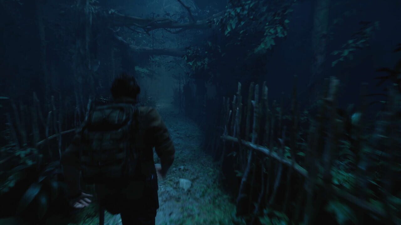 The Twilight Project