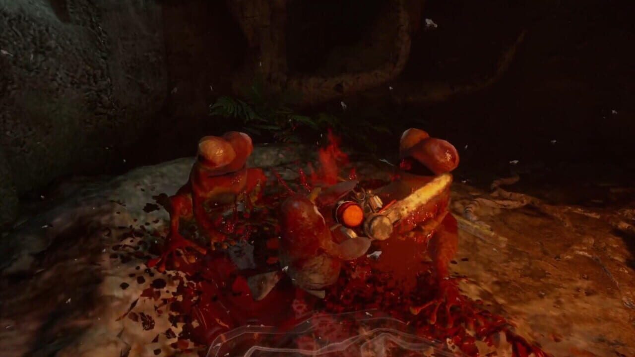 Devora