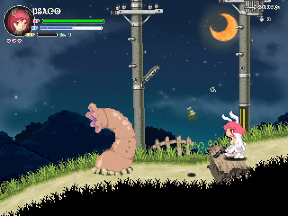 Echidna Wars DX
