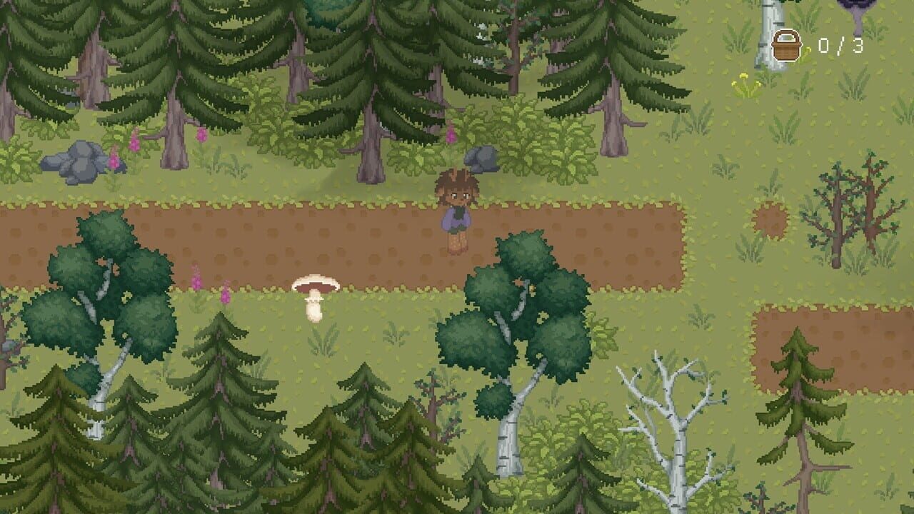 The Mushroom Journal
