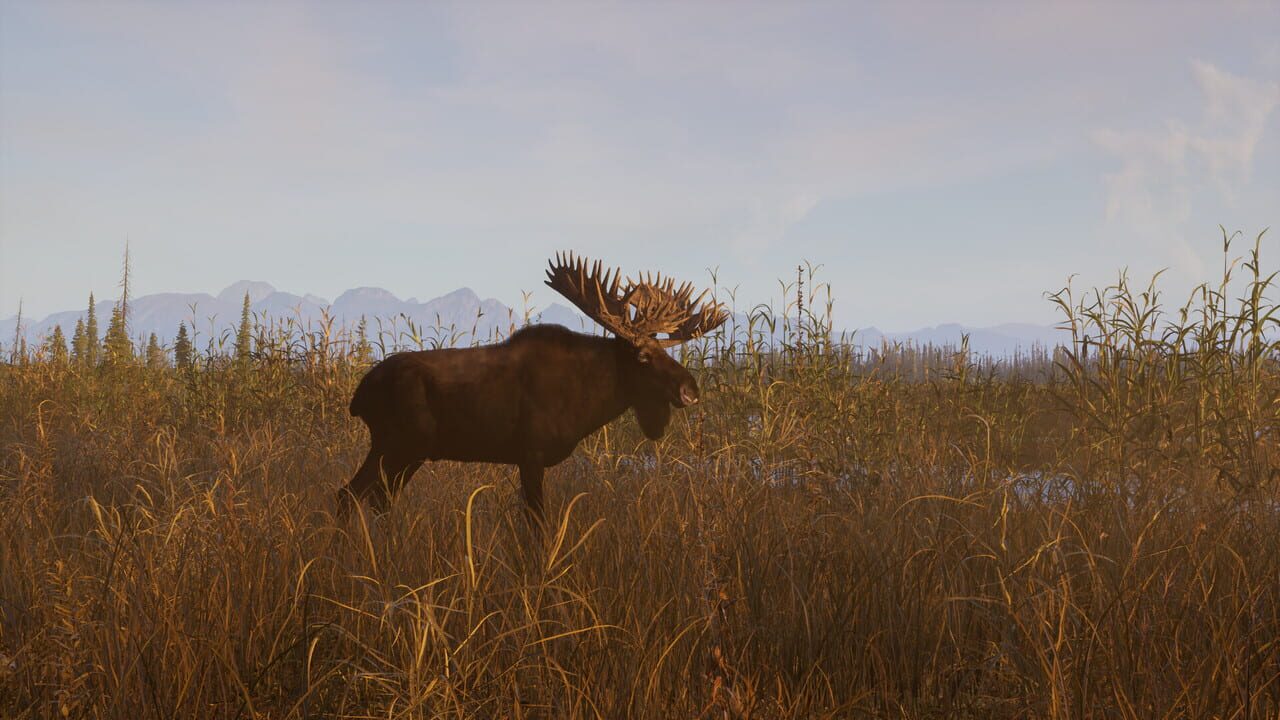 Way of the Hunter 2