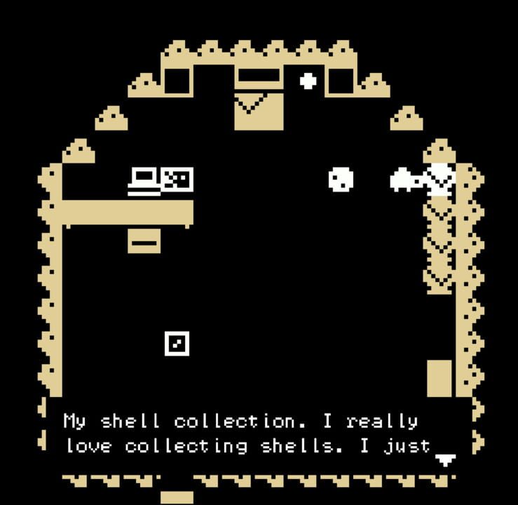 A Little Turtle’s Big Adventure