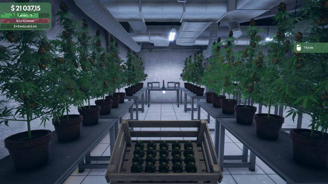 Weed Supermarket Simulator