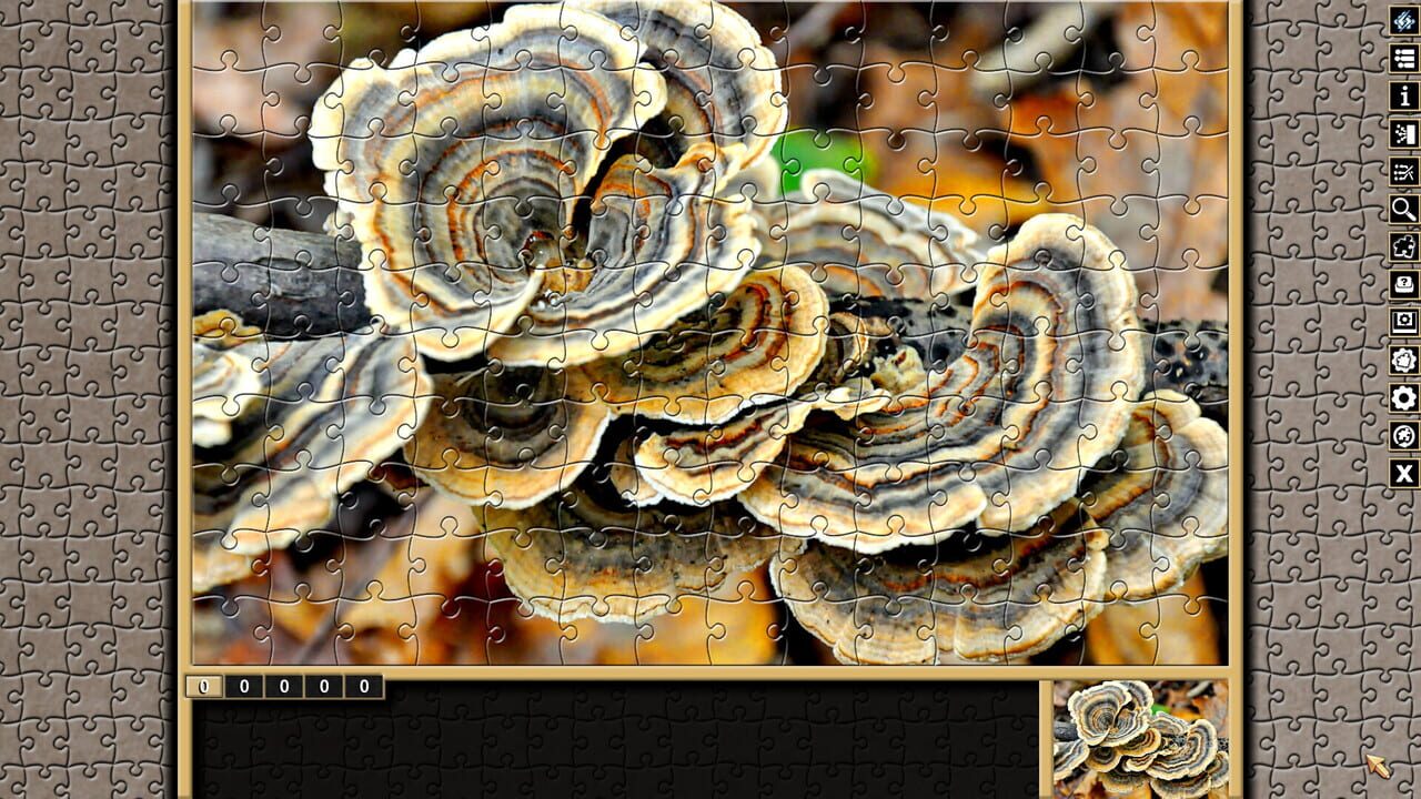 Pixel Puzzles Traditional Jigsaws: Forests