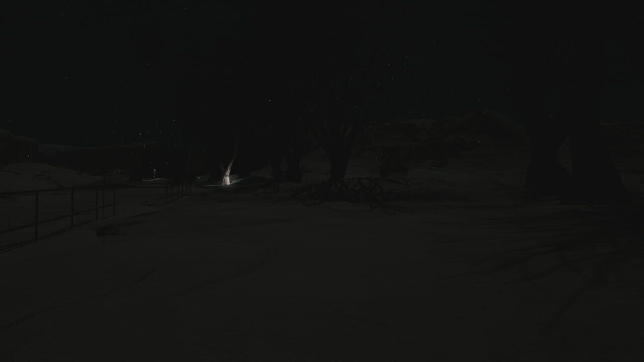 Silent Snow