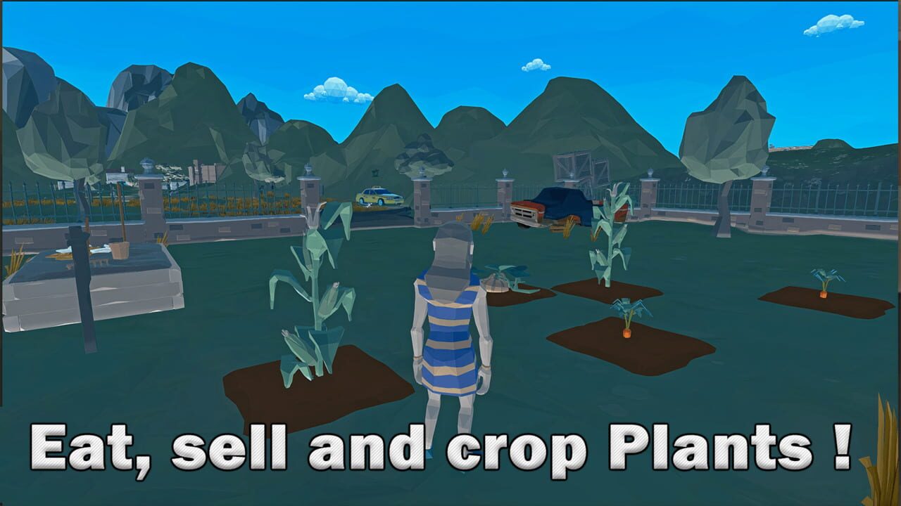 Little Farm Island
