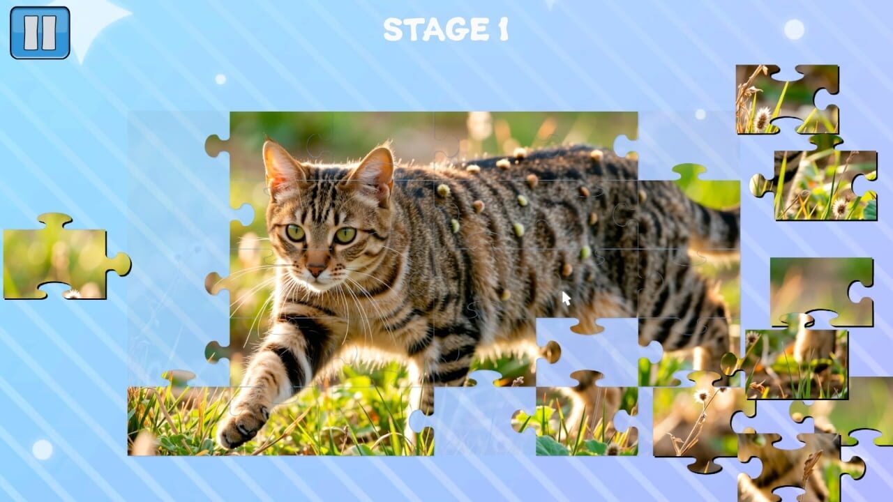 Funny Cats Puzzle
