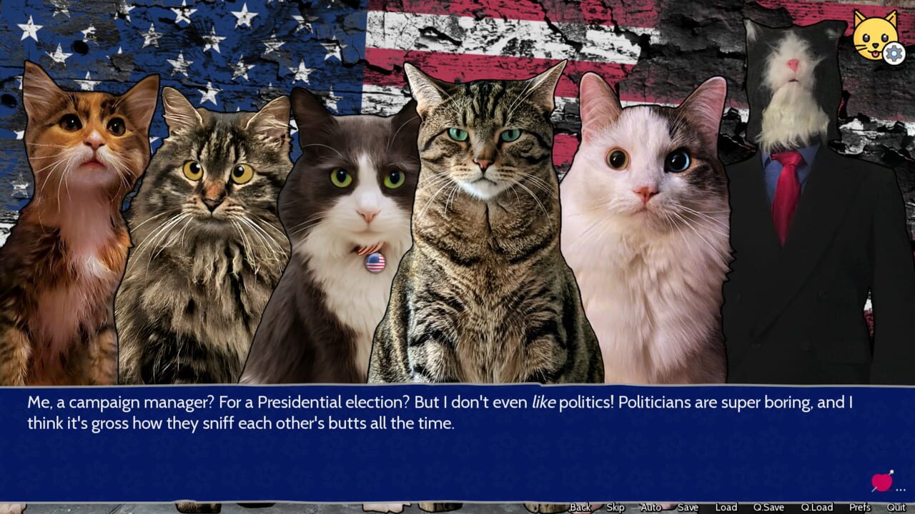 Cat President: 3rd-Rate Candidate