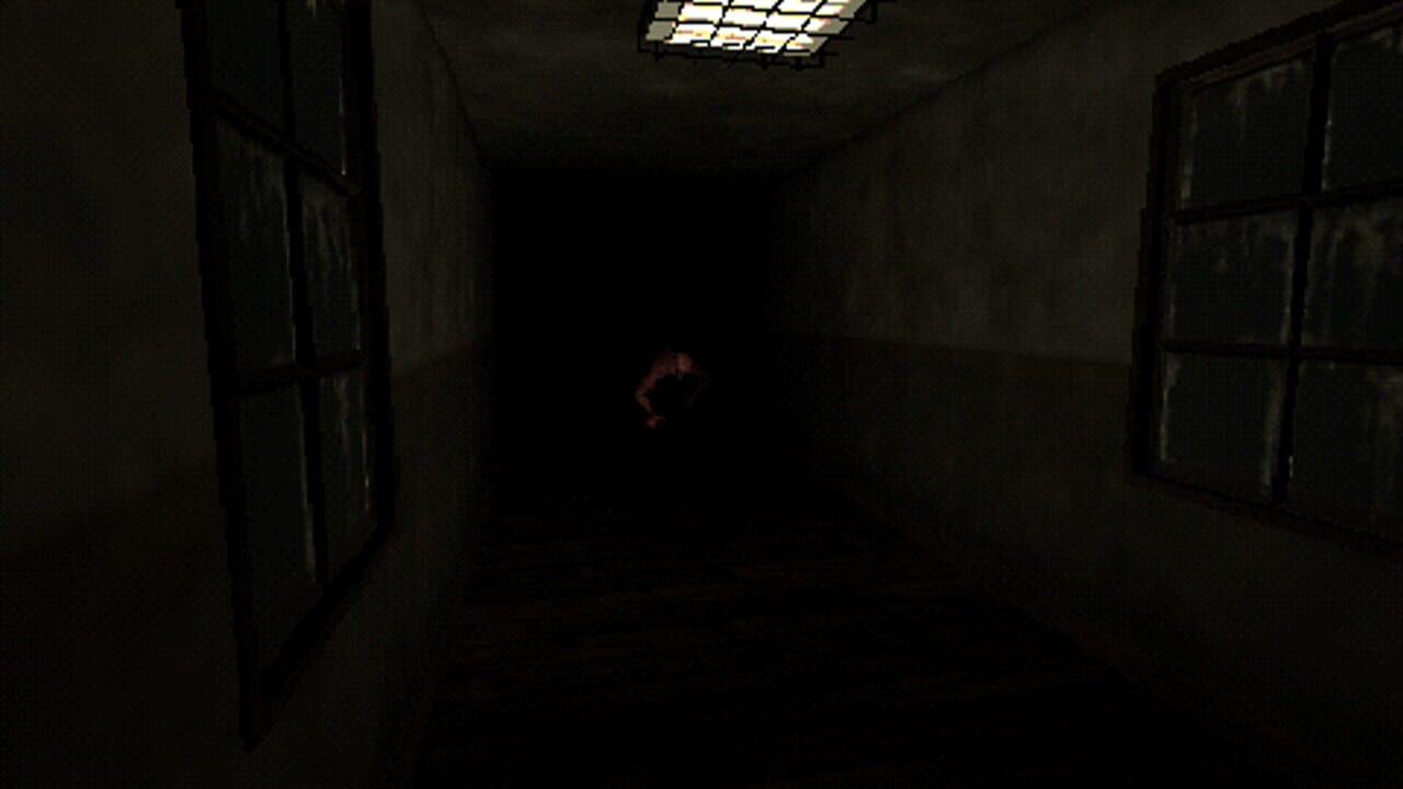 Shadows of Delusion