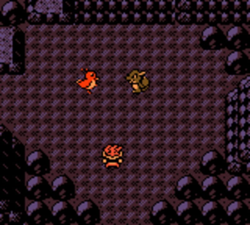 Pokémon Dark Energy