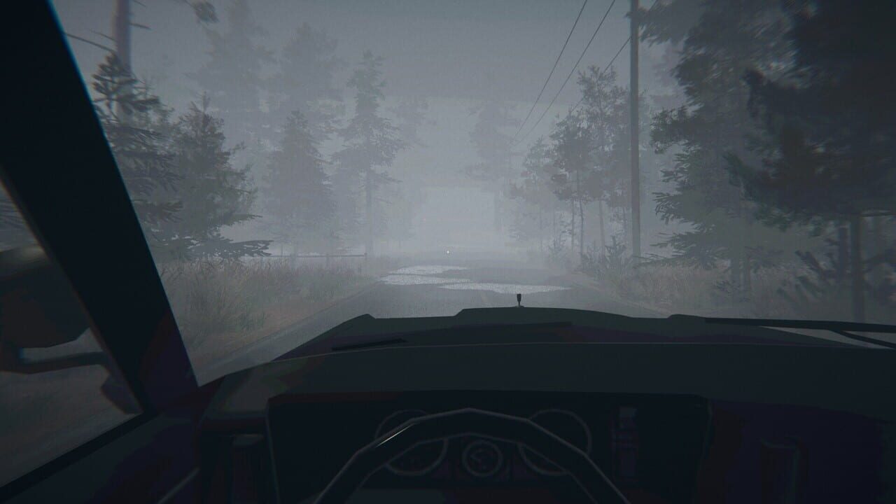 Midnight Files: Missing in Forest Lake