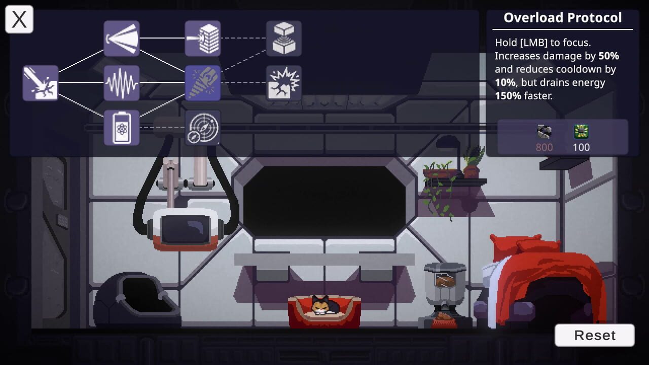 The Last Cat in the Universe