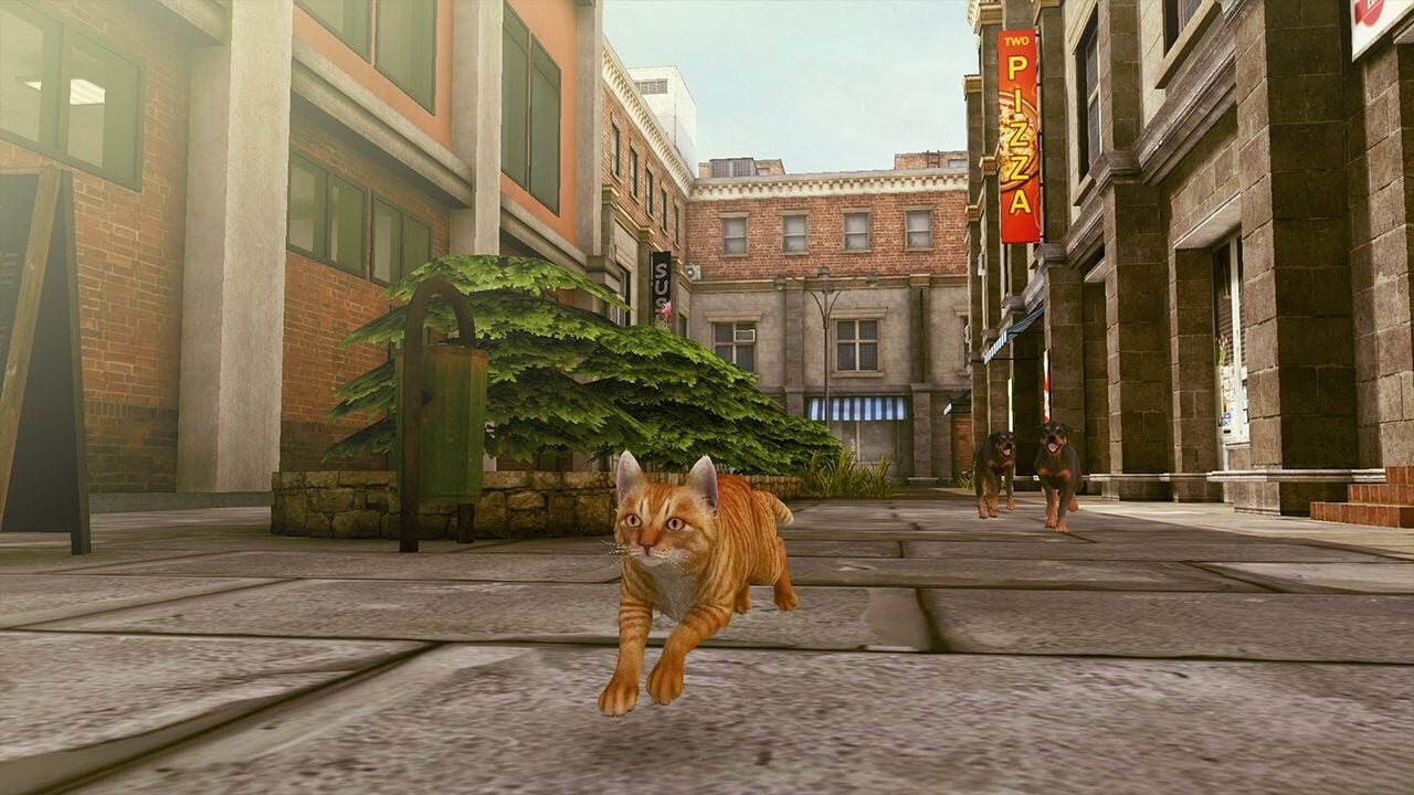 Little Strays 2