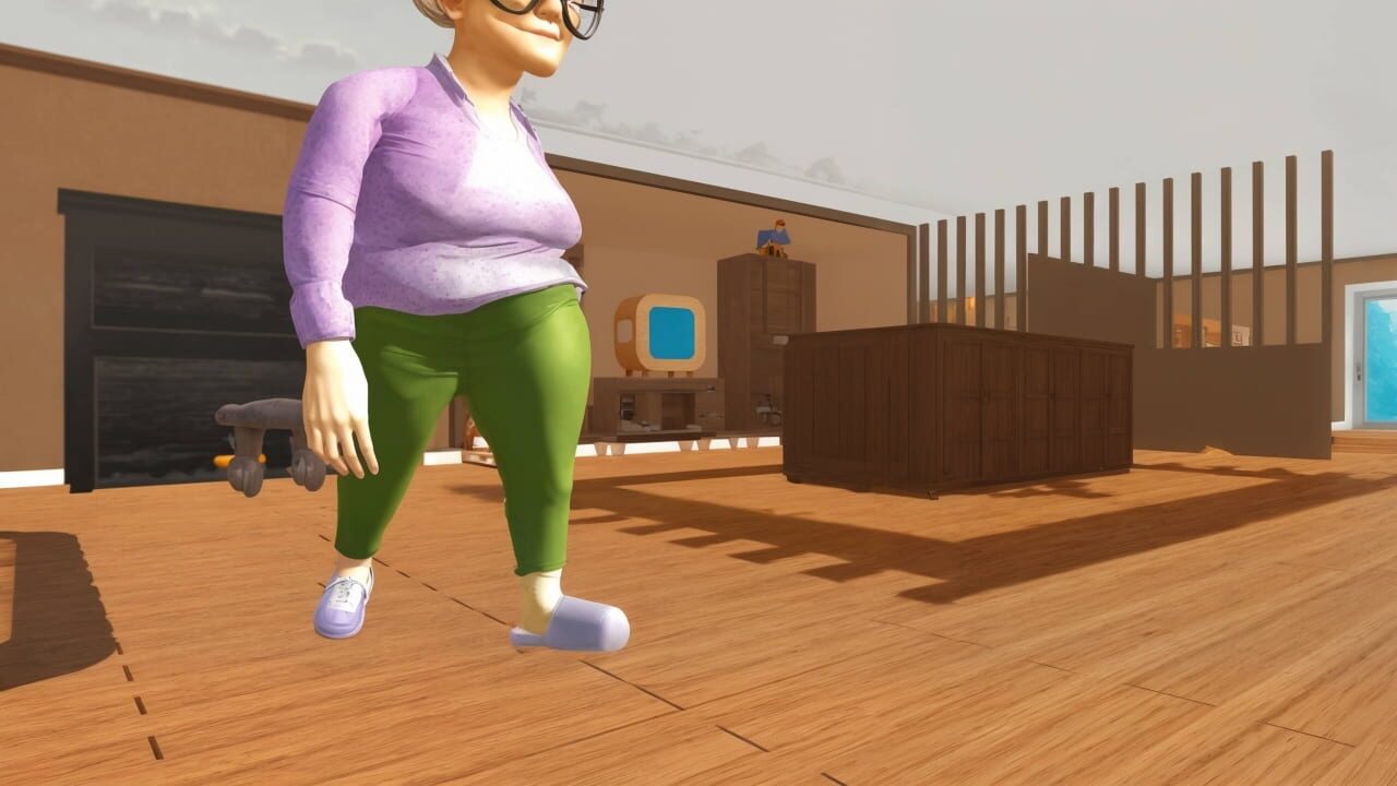 Bad Cat Angry Granny