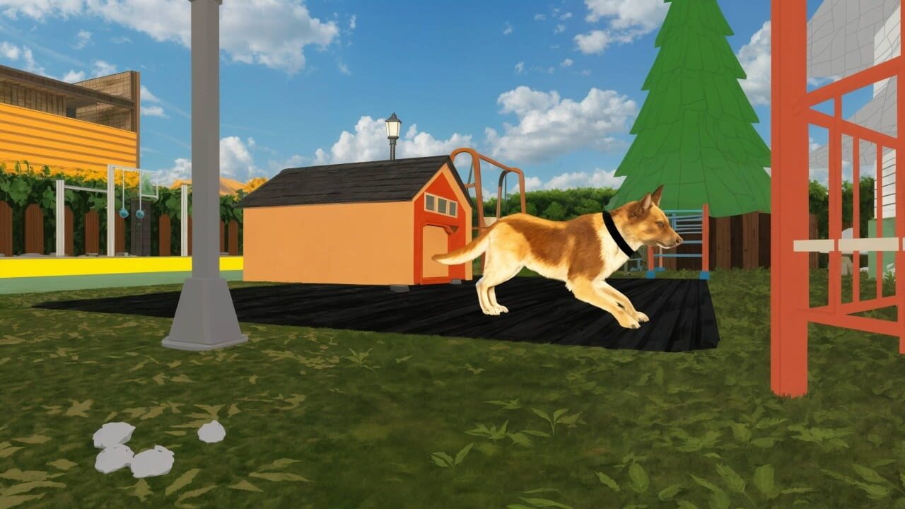 Bad Cat Angry Granny