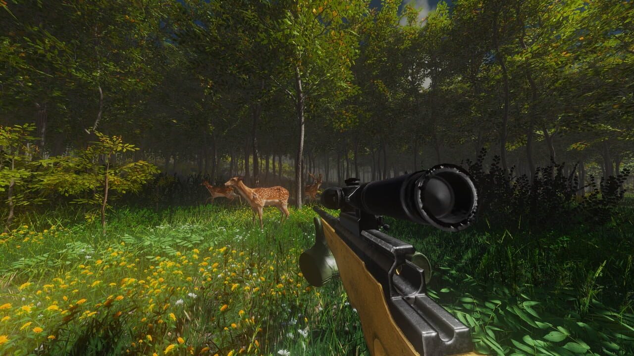 Hunter Simulator VR: Wild Hunting