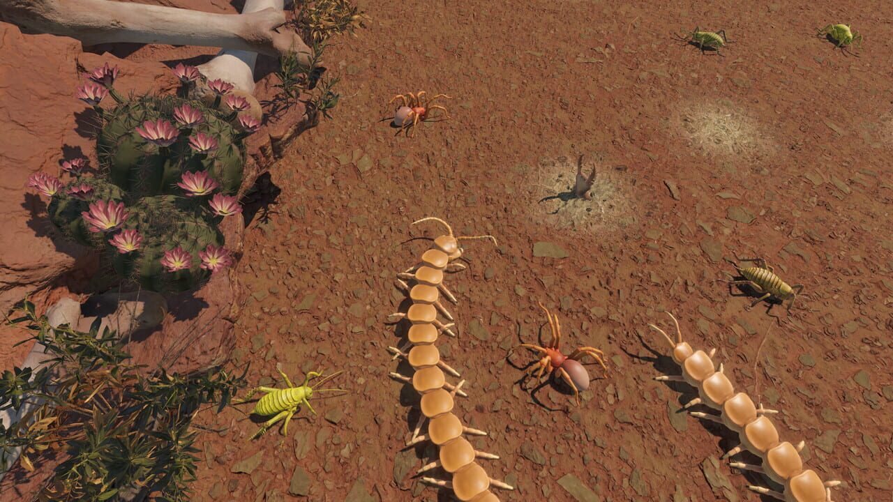 Centipede Simulator