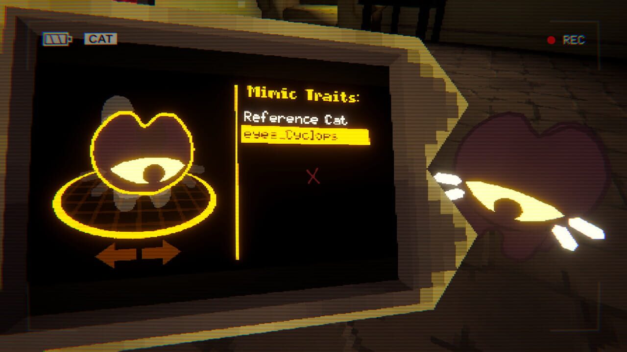 Have You Seen This Cat?