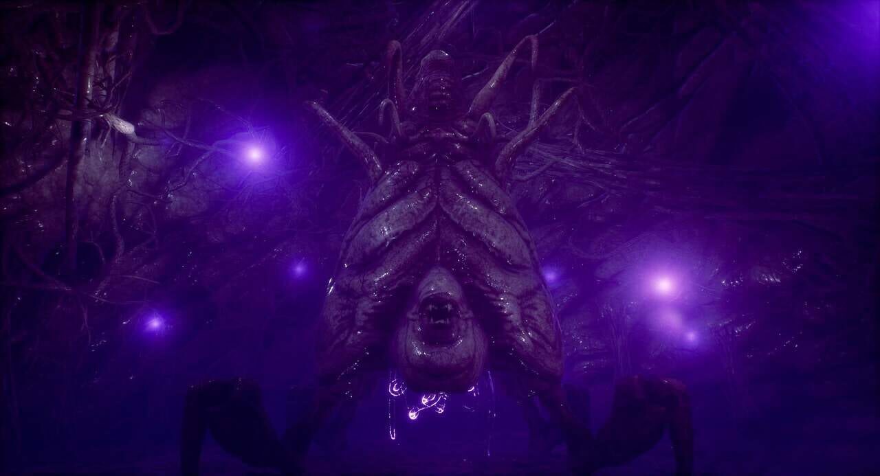 The Shore: Enhanced Edition