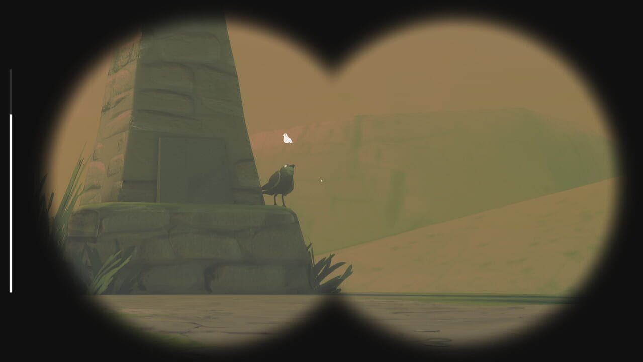 Birds Watching