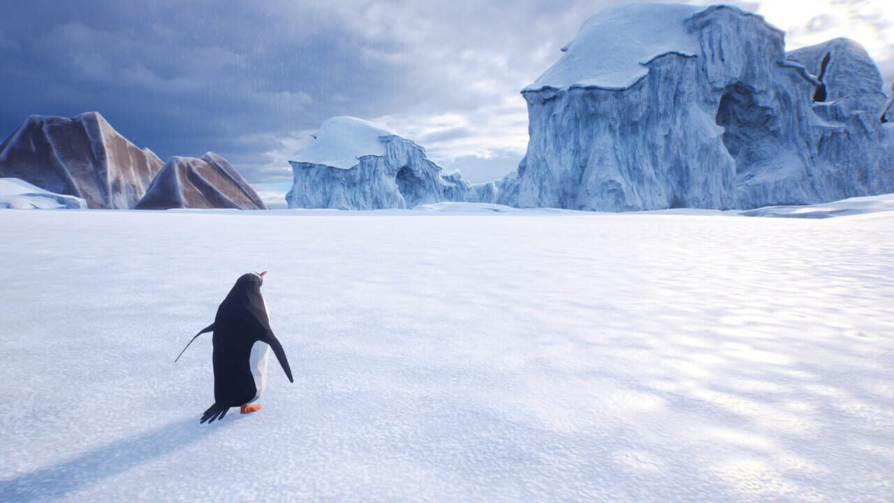 Lonely Penguin