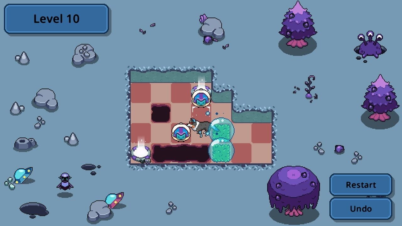 Collie Call: The Future Is Calling