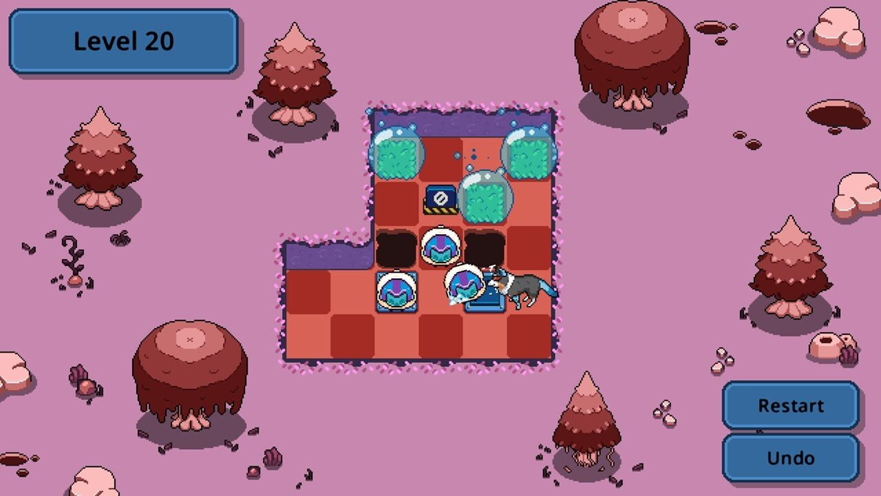 Collie Call: The Future Is Calling