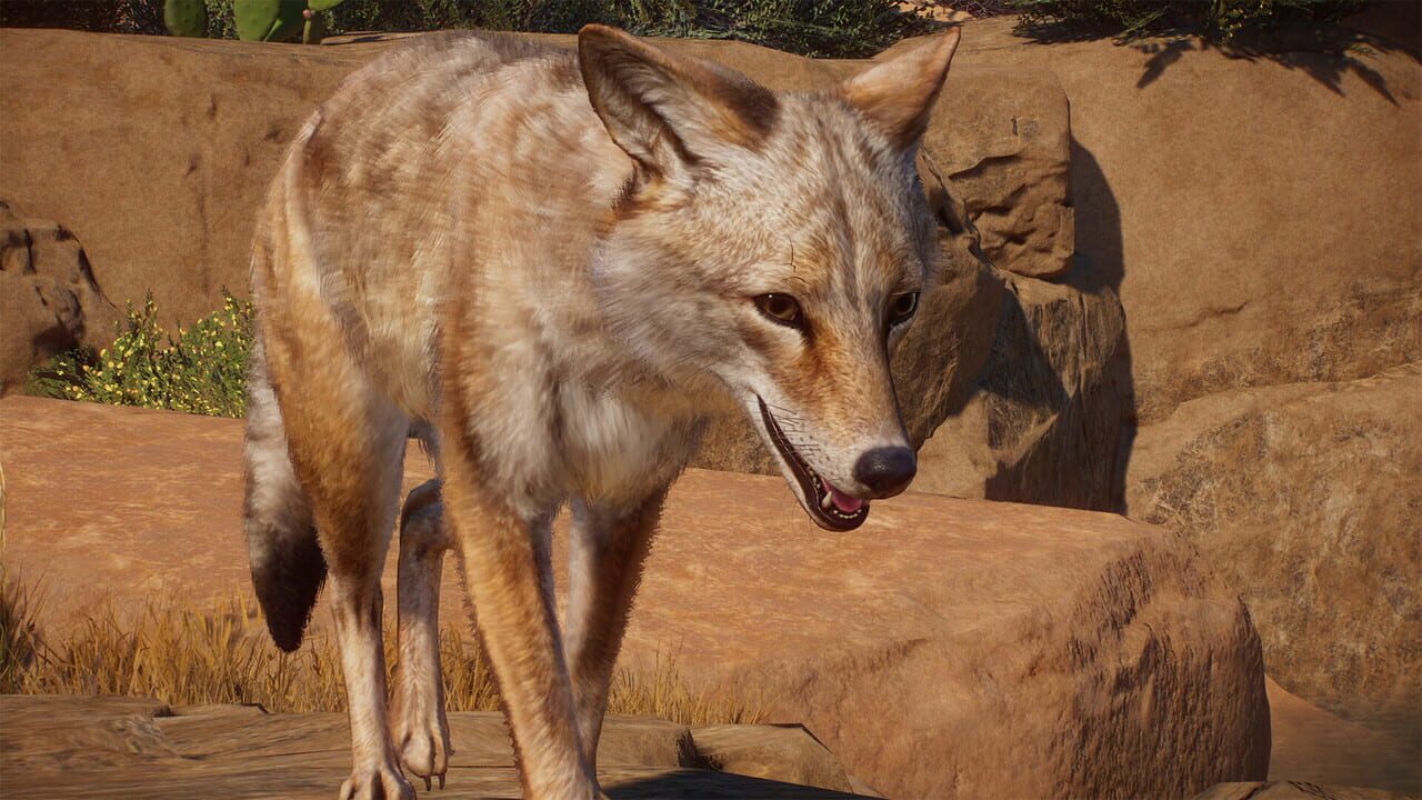 Planet Zoo: Americas Animal Pack