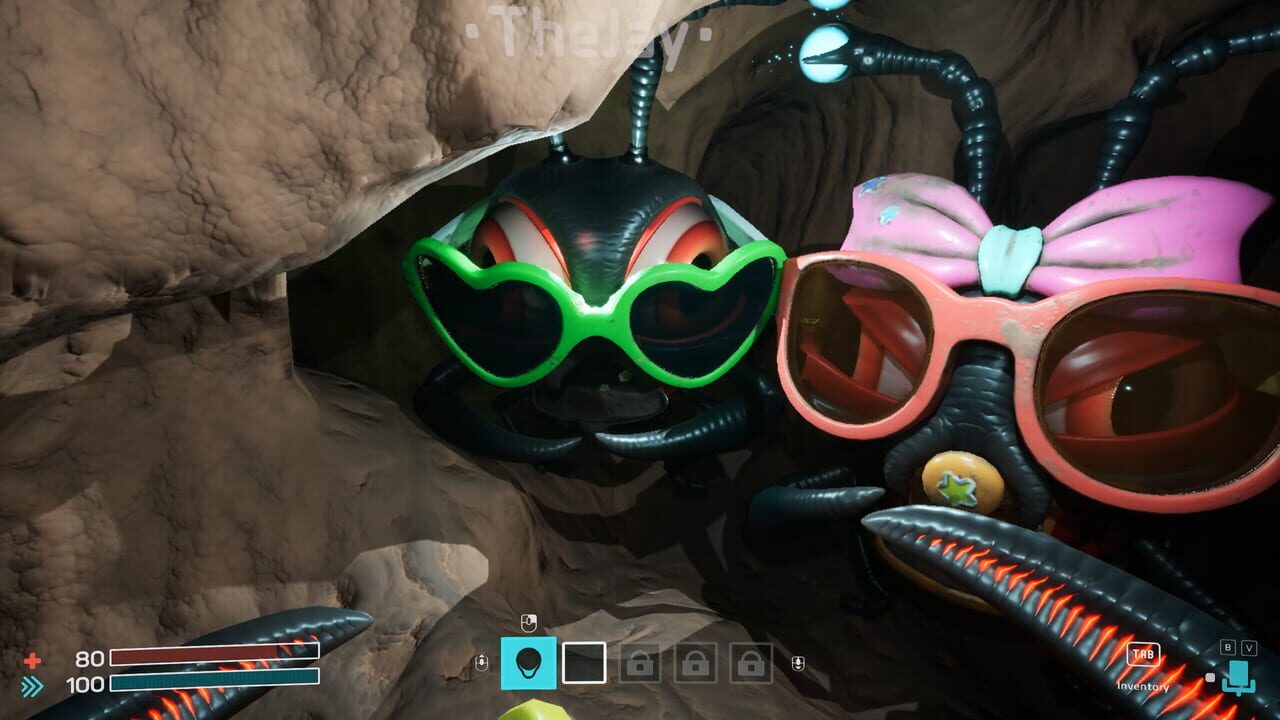 Dig Baby Dig Company