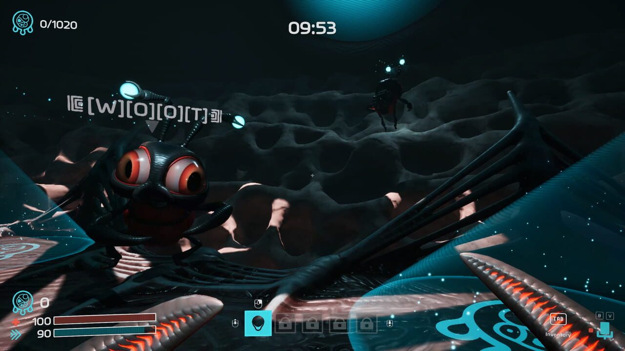 Dig Baby Dig Company