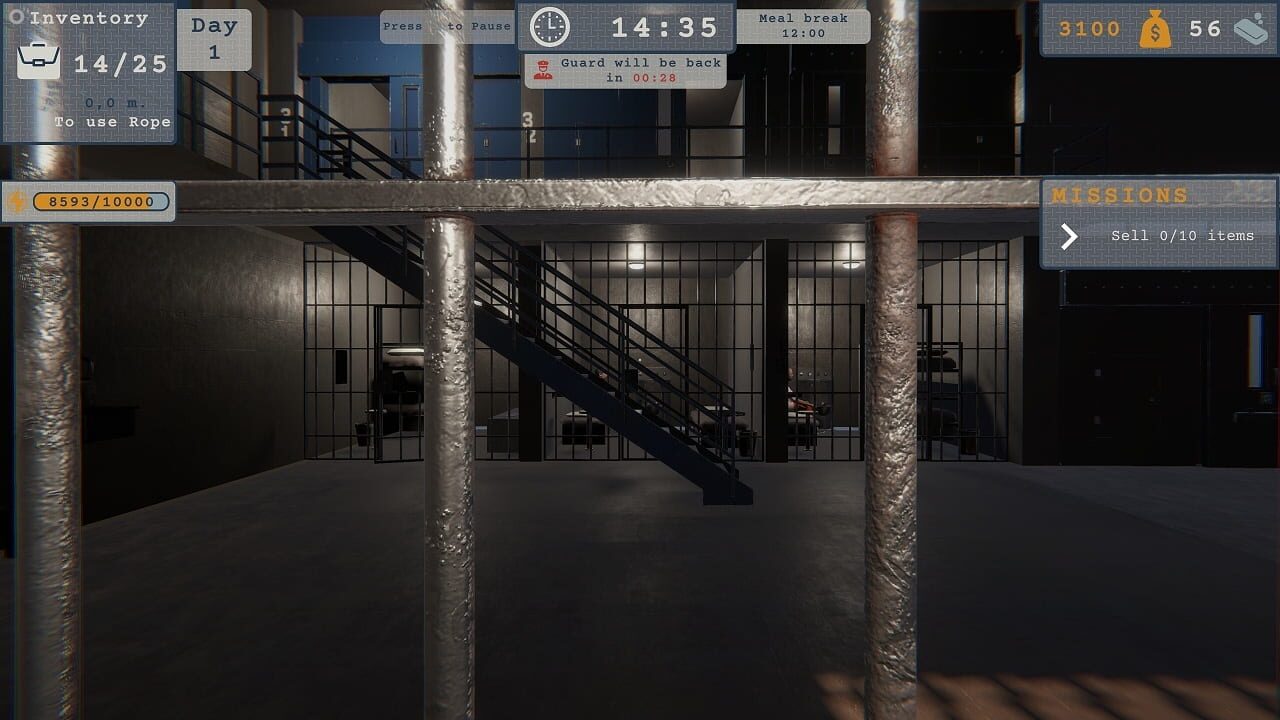 Prison Run