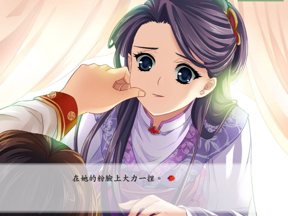 Hong Lou Meng: Lin Daiyu yu Bei Jing Wang