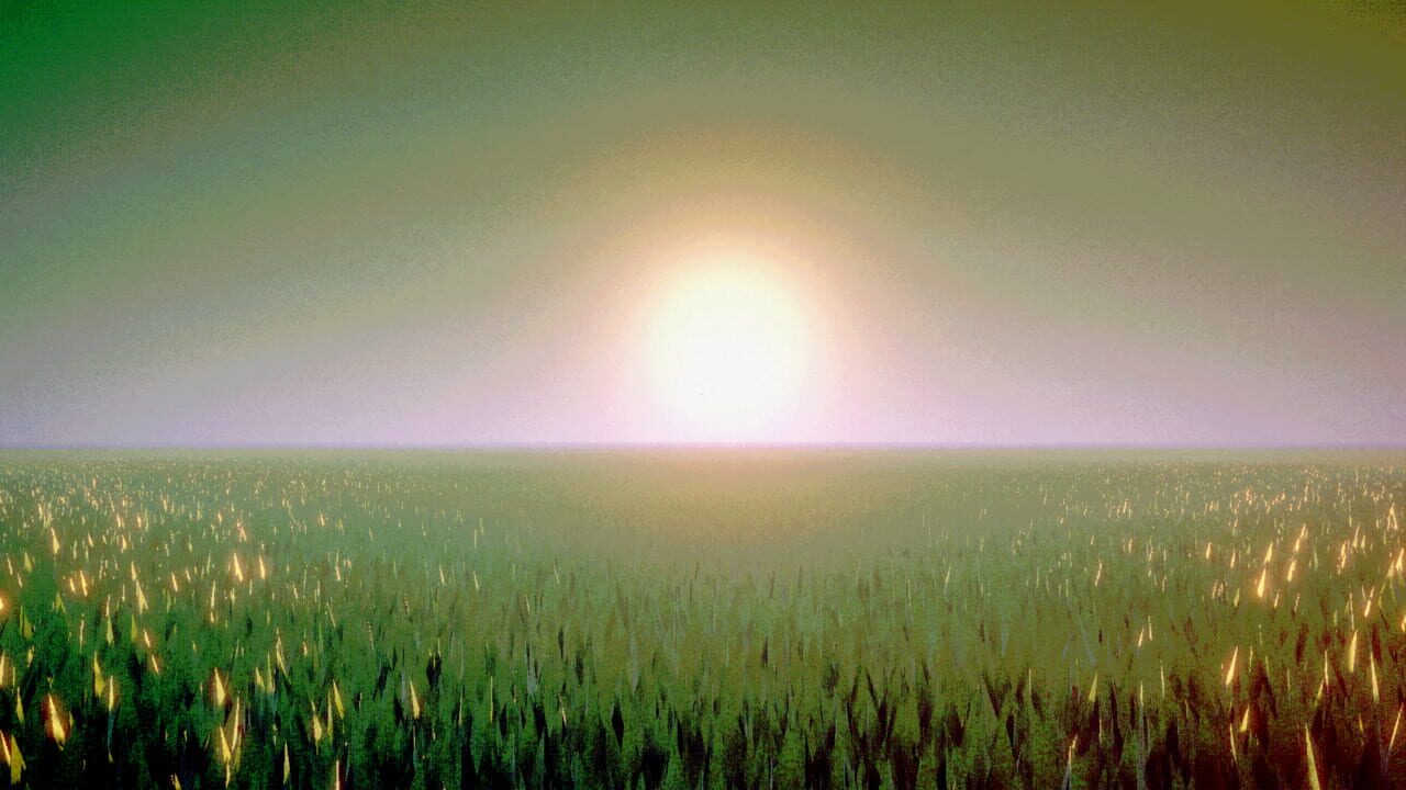 A show she never watched.