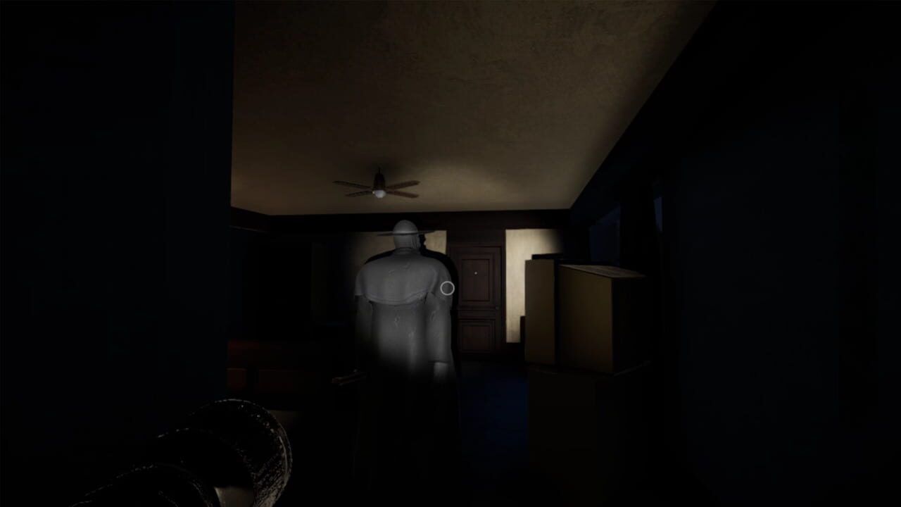 The Secret Story 1996