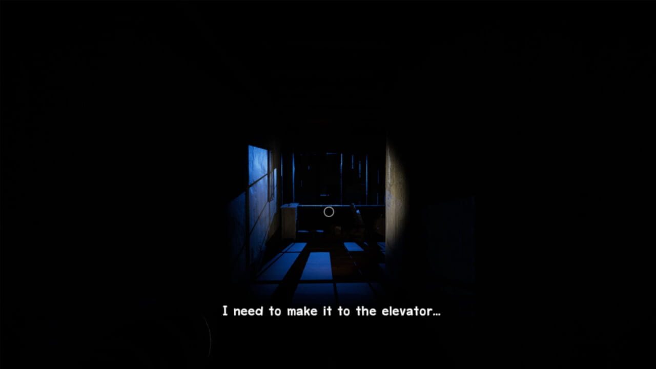 The Secret Story 1996