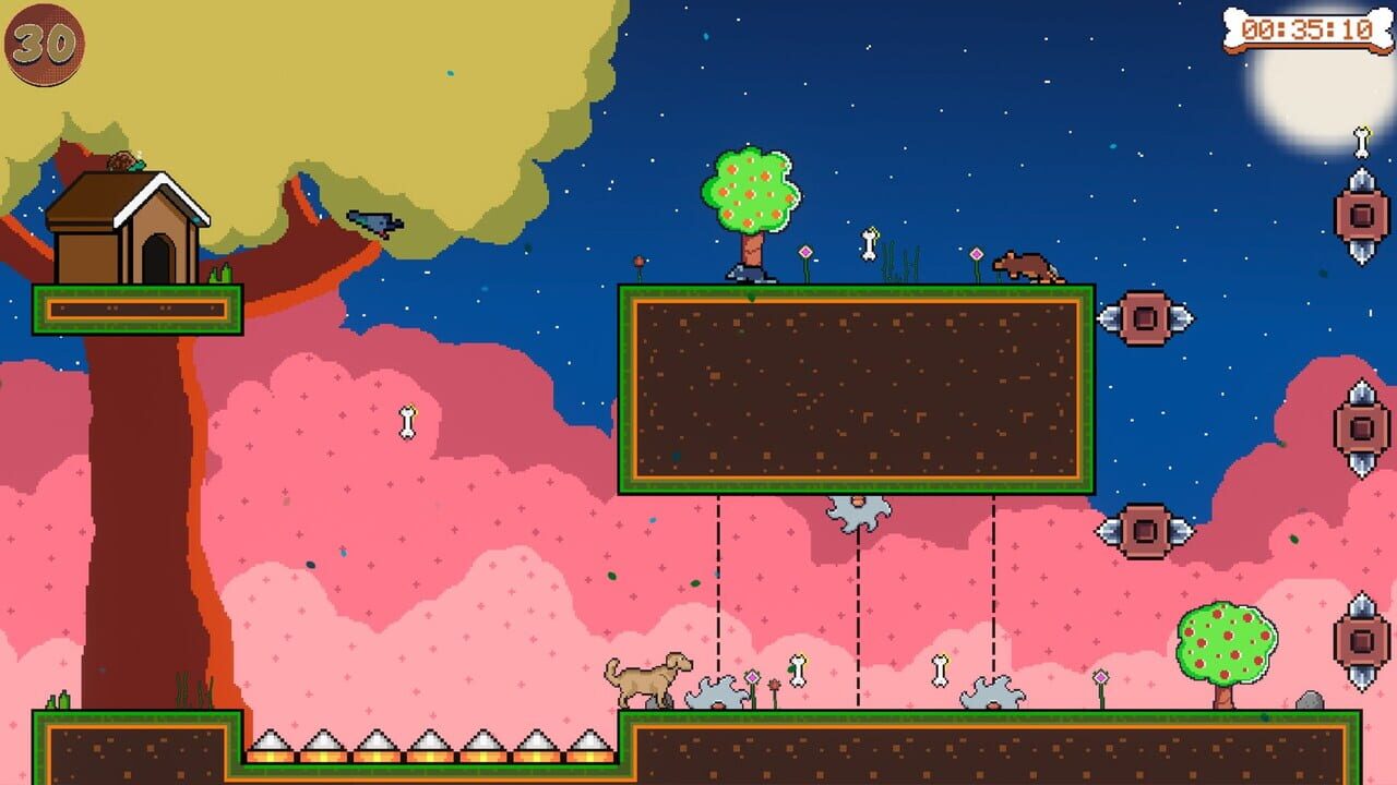 Fear Dog The Bolota Escape