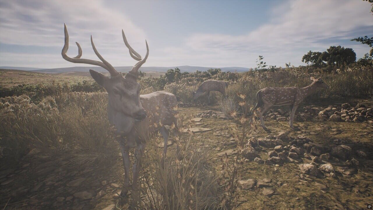 Project Hunt: Lone Star Hunting Ranch