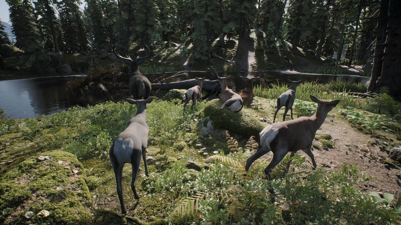 Project Hunt: Trophy Sanctuary